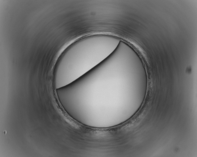 X0000091460933200708161104