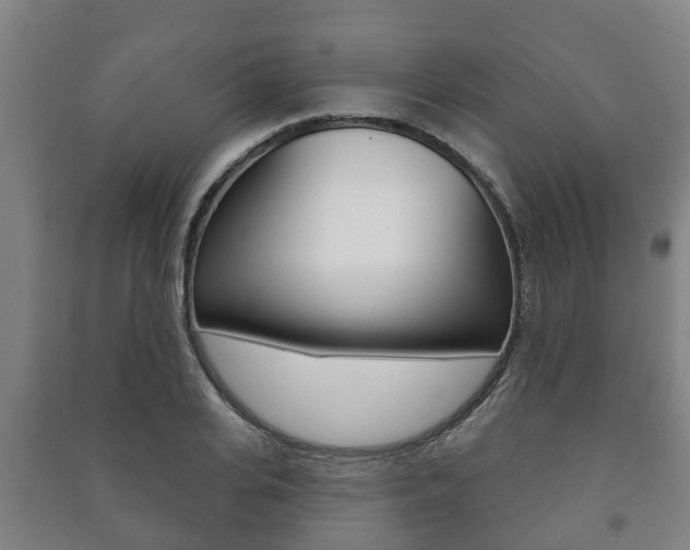 X0000091460935200708161104