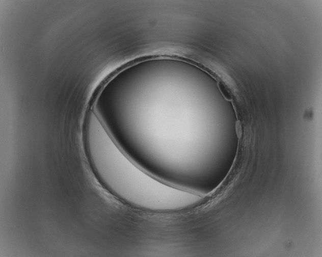 X0000091460936200708161104