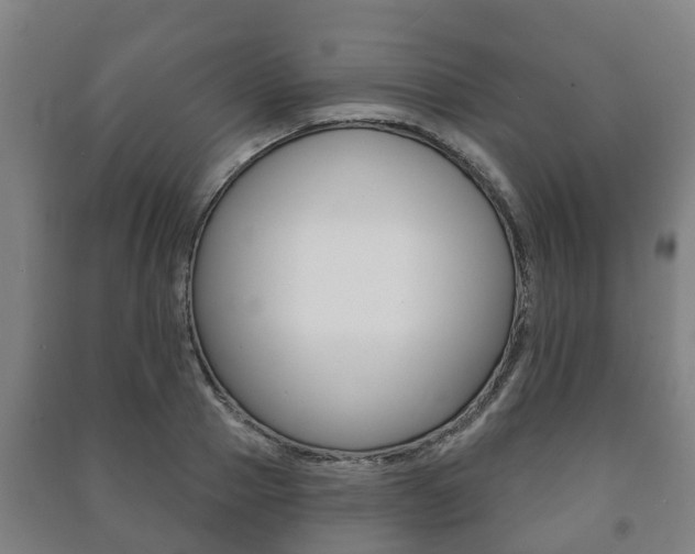 X0000091460937200708161104
