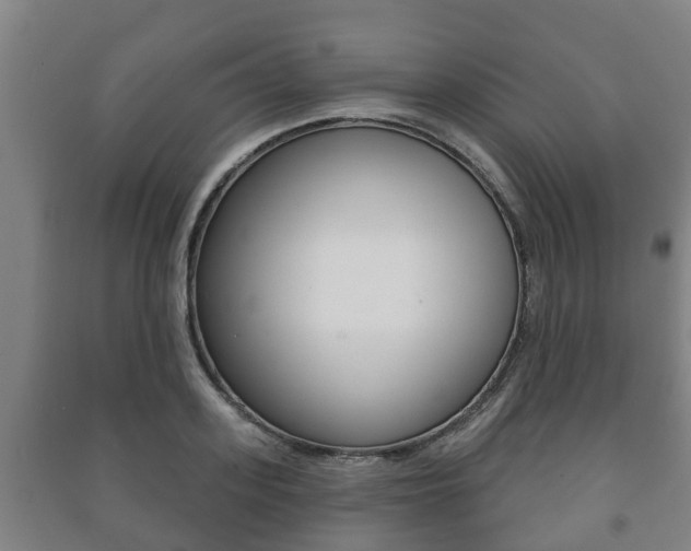 X0000091460939200708161104
