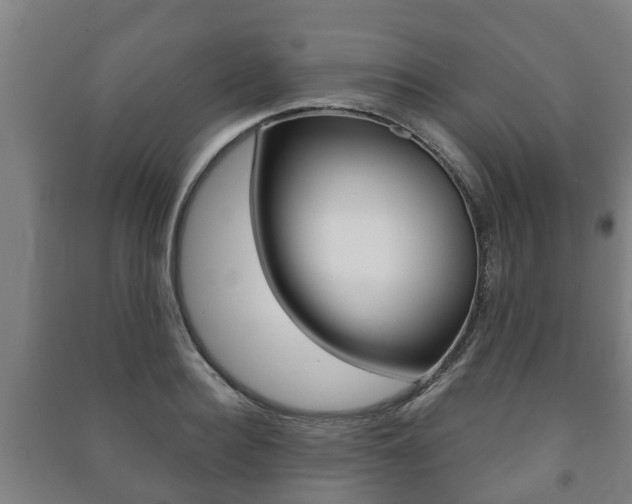 X0000091460940200708161104