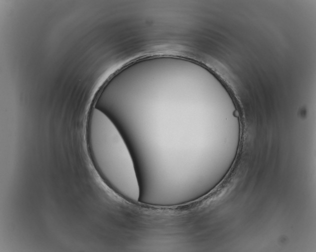 X0000091460941200708161104