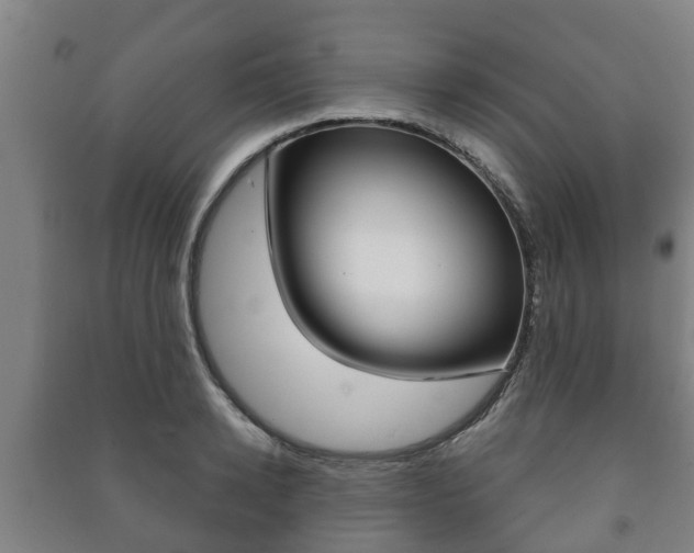 X0000091460942200708161104
