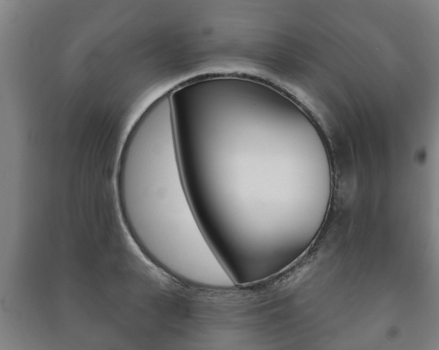 X0000091460943200708161104