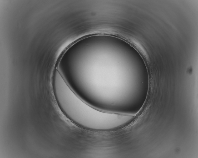 X0000091460944200708161104