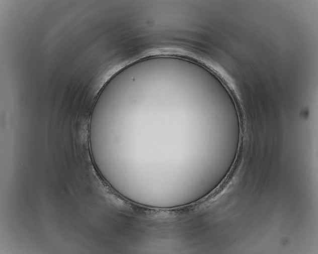 X0000091460945200708161104