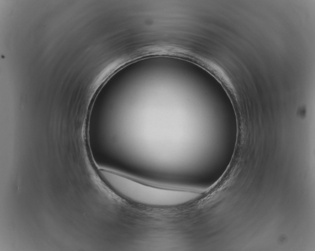 X0000091460946200708161104