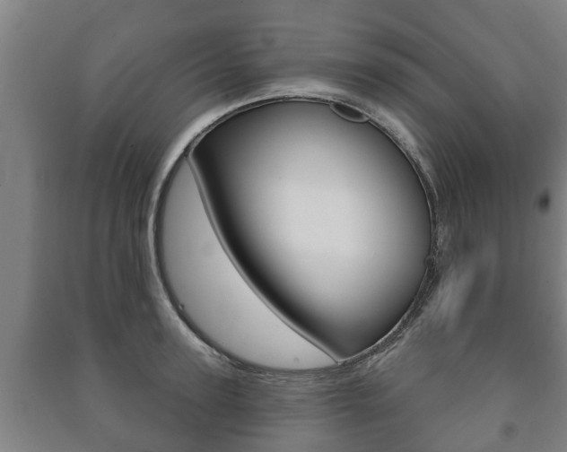 X0000091460947200708161104
