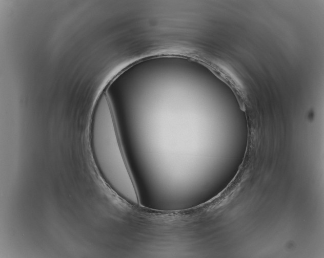 X0000091460948200708161104