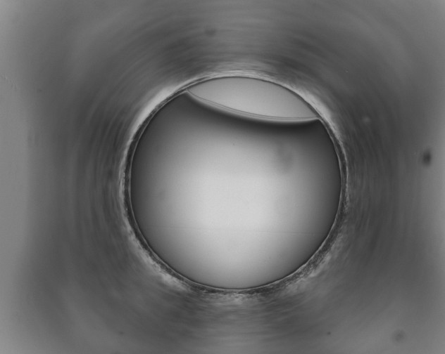 X0000091460949200708161104