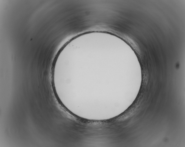 X0000091460950200708161104