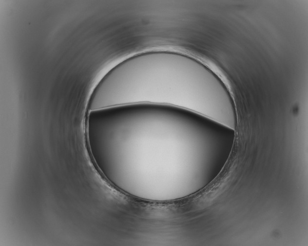 X0000091460951200708161104