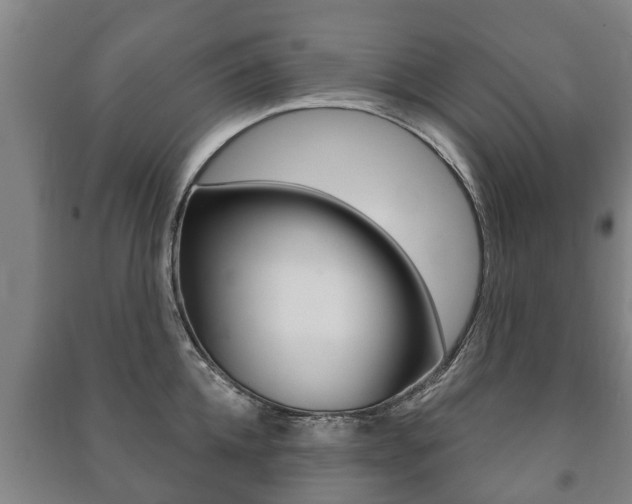 X0000091460952200708161104