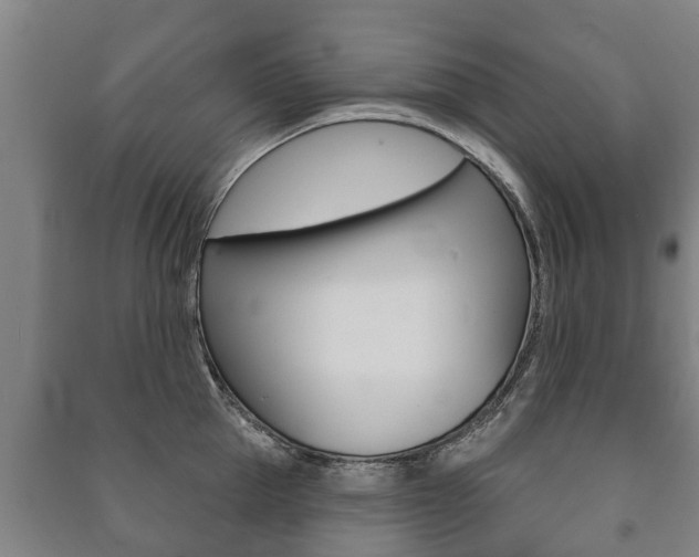 X0000091460953200708161104