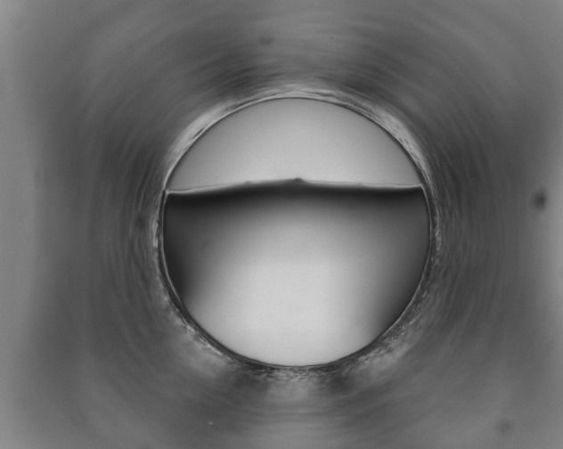 X0000091460954200708161104
