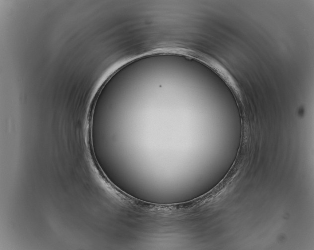 X0000091460955200708161104