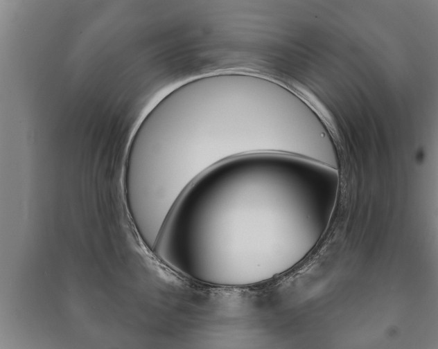 X0000091460956200708161104