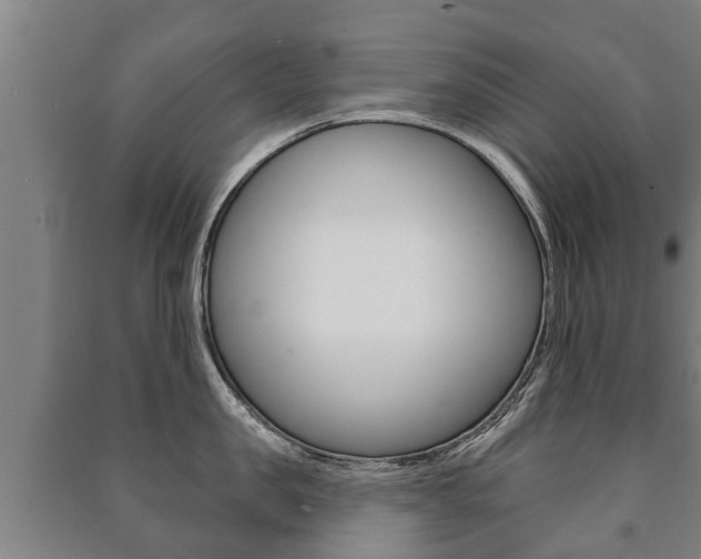 X0000091460957200708161104