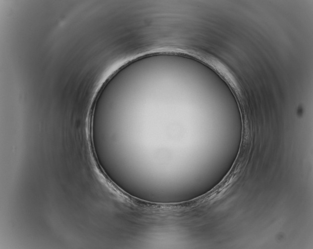 X0000091460958200708161104