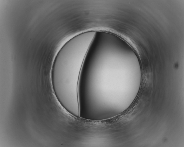 X0000091460959200708161104