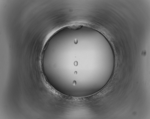 X0000091460960200708161104