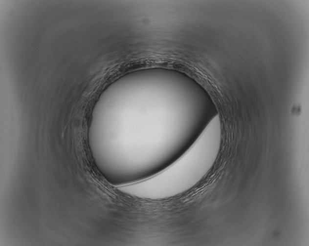 X0000091460961200708161104