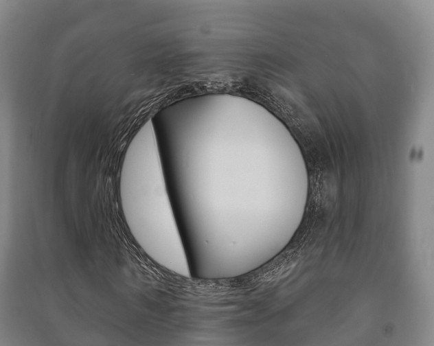 X0000091460962200708161104