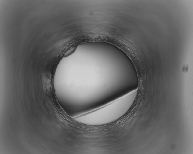 X0000091460963200708161104