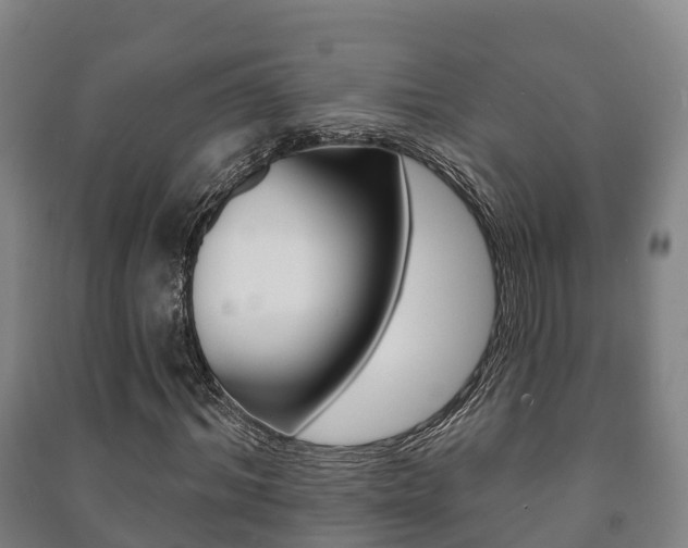 X0000091460964200708161104