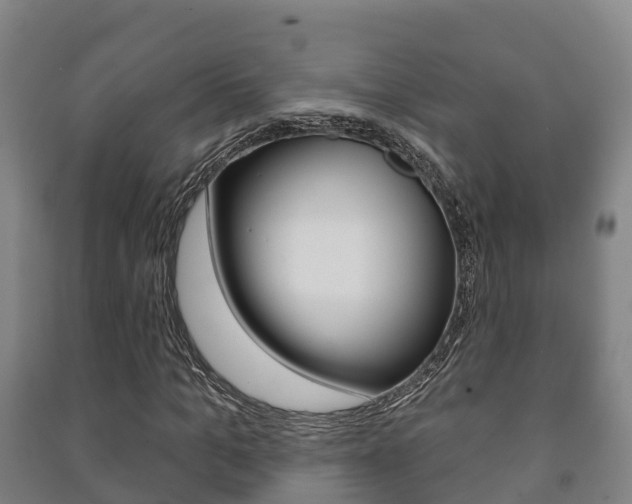X0000091460965200708161104