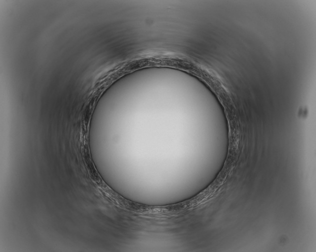 X0000091460966200708161104