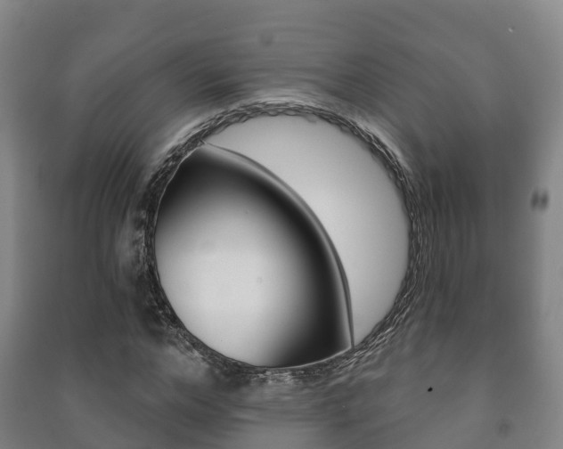 X0000091460968200708161104