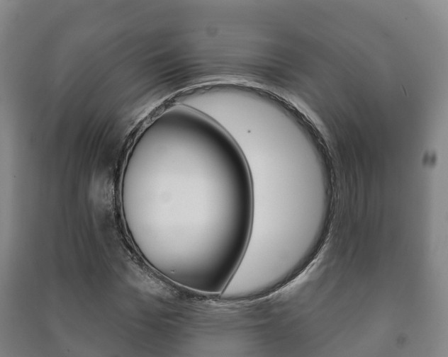 X0000091460969200708161104