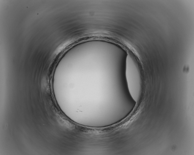 X0000091460970200708161104