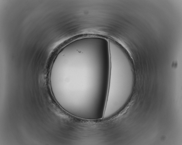 X0000091460971200708161104