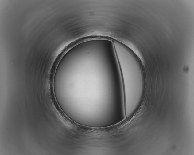 X0000091460972200708161104