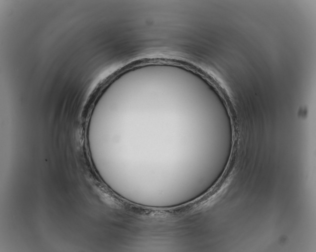 X0000091460974200708161104