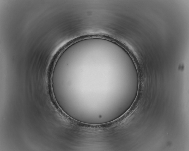 X0000091460975200708161104