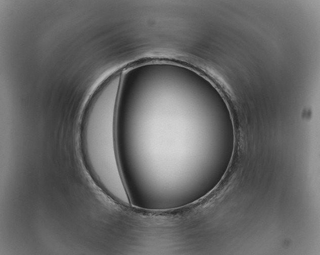 X0000091460976200708161104