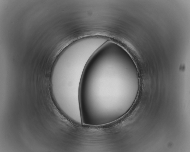X0000091460977200708161104