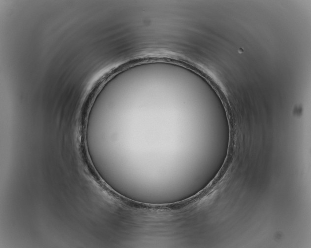 X0000091460979200708161103