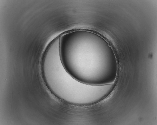 X0000091460981200708161103