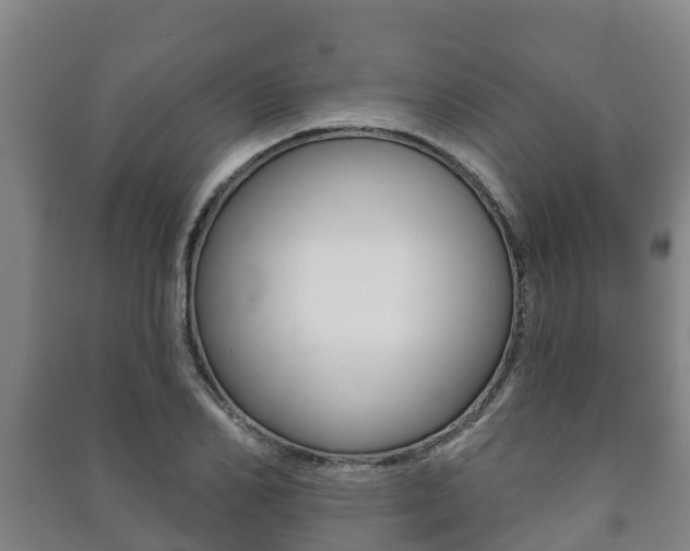 X0000091460982200708161103