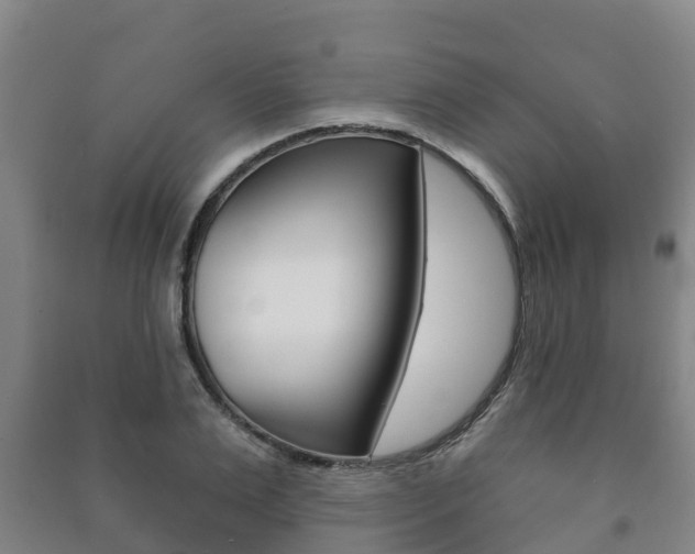 X0000091460983200708161103