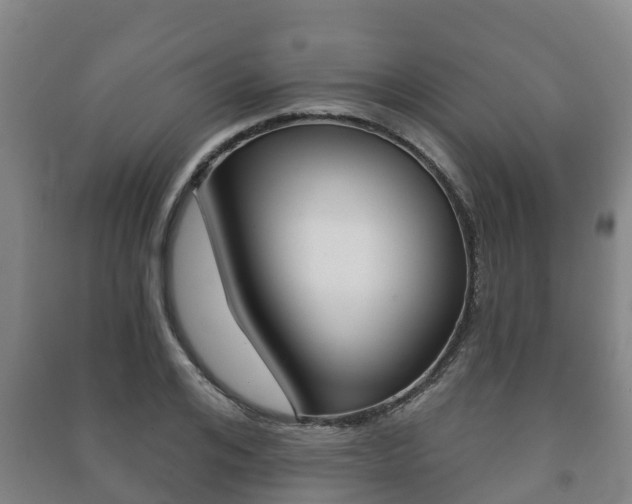 X0000091460984200708161103