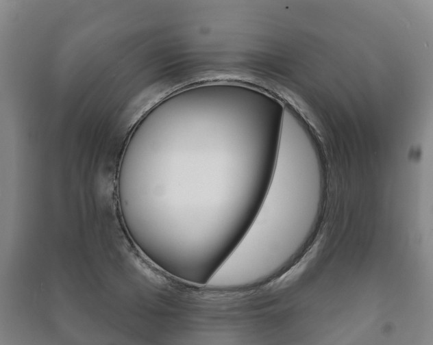 X0000091460985200708161103