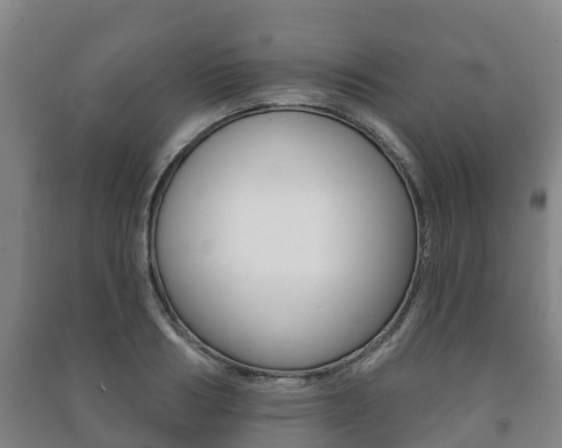 X0000091460986200708161103