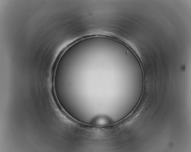 X0000091460987200708161103