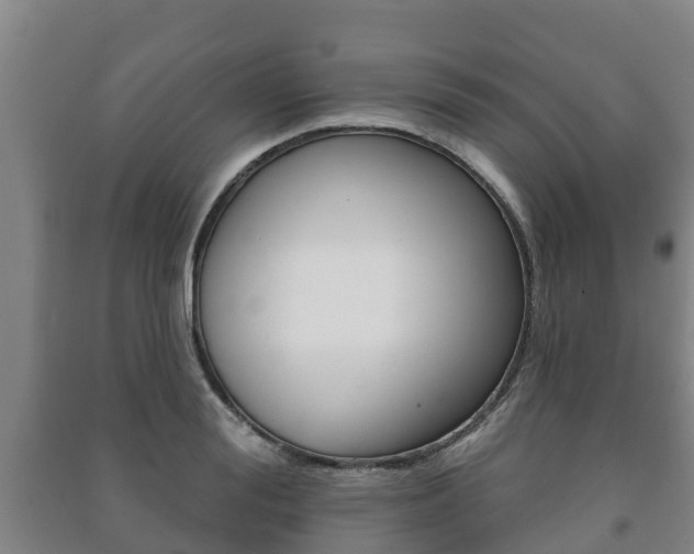 X0000091460988200708161103